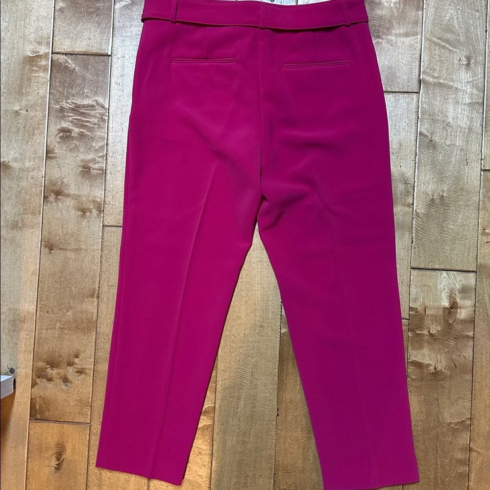 Ann Taylor Pink Ankle Pants NWT 12 - Picture 3 of 4